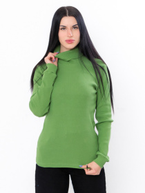 Водолазка Носи своє модель 8047-019-1-avokado Водолазка Носи своє модель 8047-019-1-avokado Фото