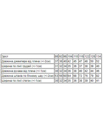 Спортивный костюм Носи своє модель 6063-057-33-3-polunicq-chornilxno-sinj Фото