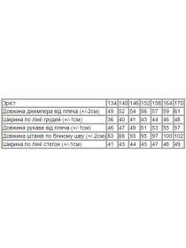 Спортивный костюм Носи своє модель 6173-057-33-chornij-nrg Спортивный костюм Носи своє модель 6173-057-33-chornij-nrg Фото