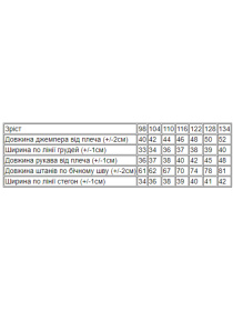 Спортивный костюм Носи своє модель 6063-024-4-ltak Спортивный костюм Носи своє модель 6063-024-4-ltak Фото
