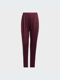 Штаны спортивные Adidas Clima модель GT3008 Фото