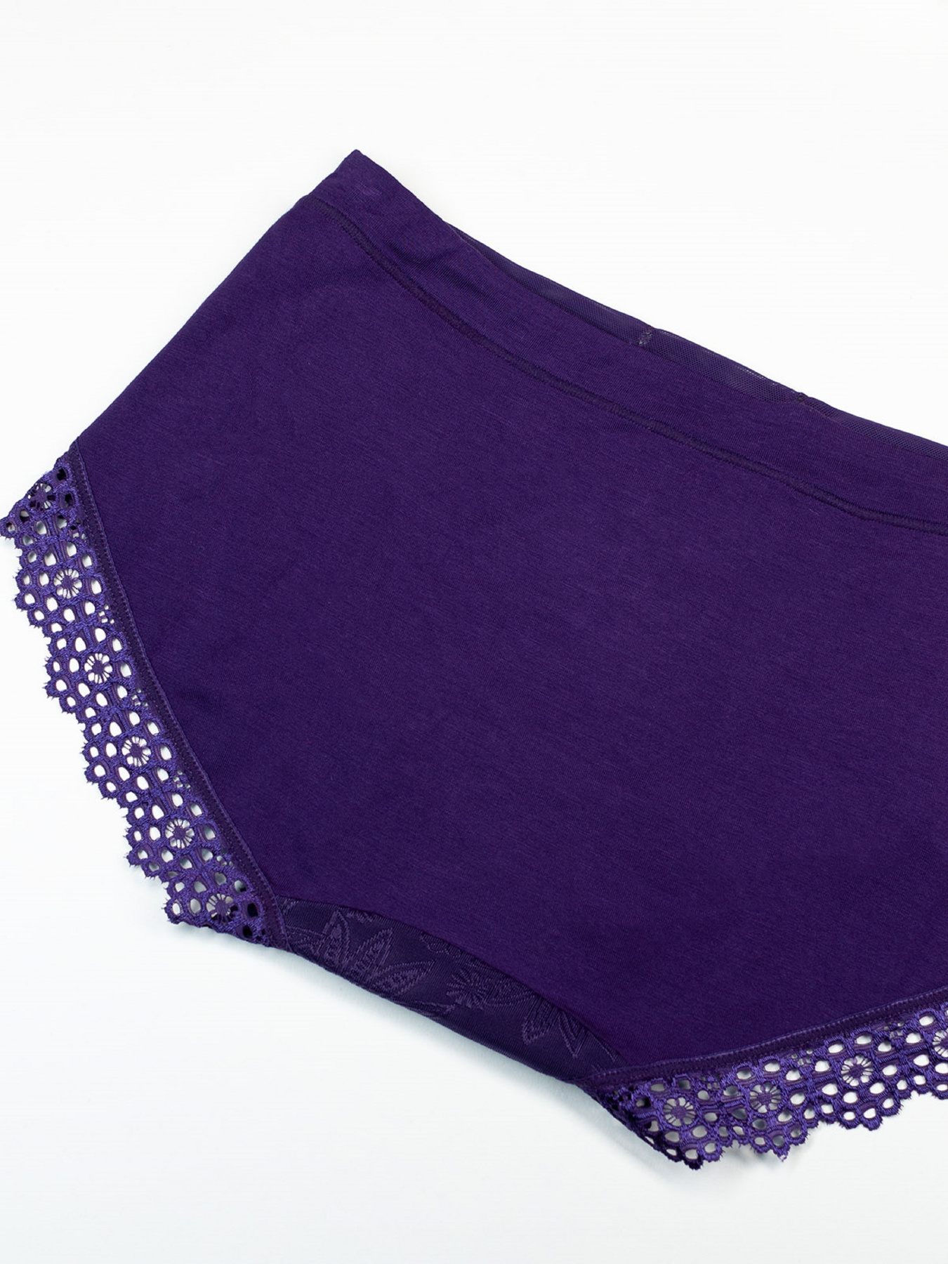 Труси ISSA Plus модель BL2-879_фиолетовый Фото