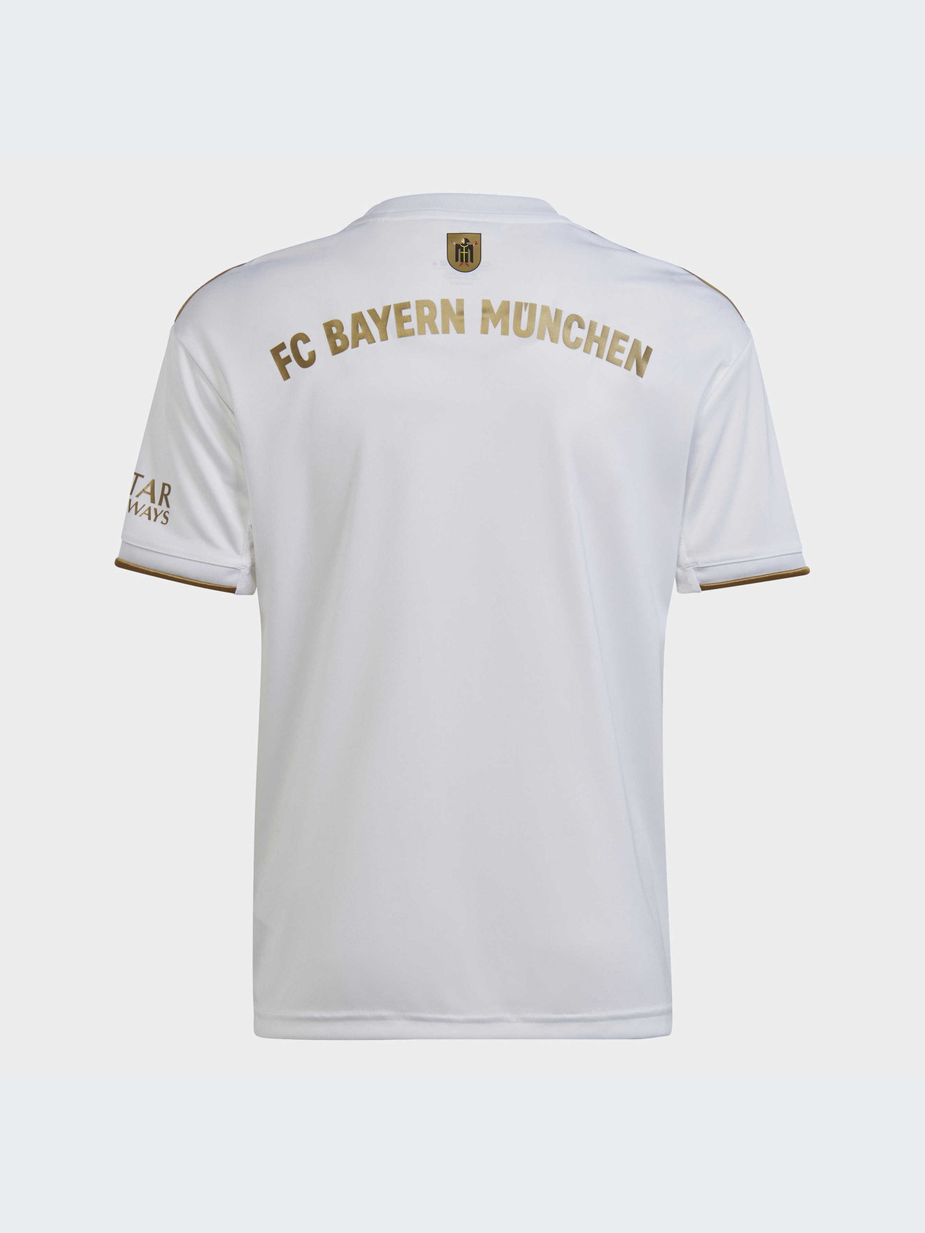 Спортивная футболка Adidas модель HI3880 Фото