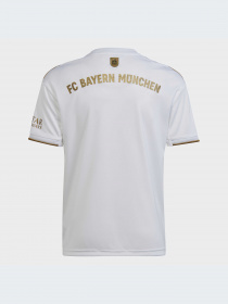 Спортивная футболка Adidas модель HI3880 Фото