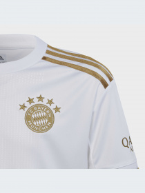 Спортивная футболка Adidas модель HI3880 Фото