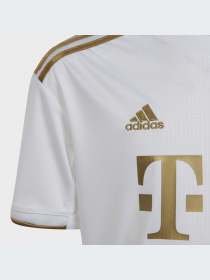 Спортивная футболка Adidas модель HI3880 Фото