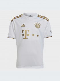 Спортивная футболка Adidas модель HI3880 Фото