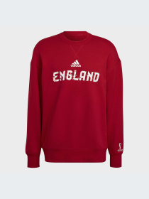 Худи и свитшоты Adidas модель HD6383 Фото