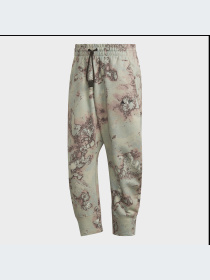 Брюки повседневные Adidas модель HG6433 Фото