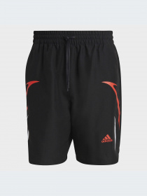 Шорты Adidas модель IC3689 Фото