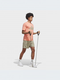 Шорты спортивные Adidas Clima модель IC1483 Фото