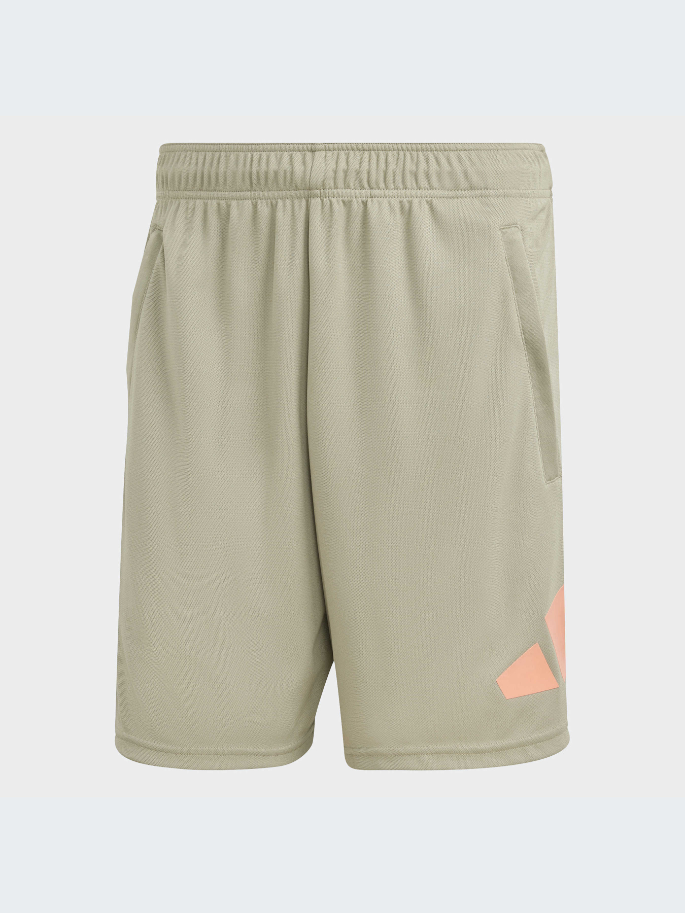 Шорты спортивные Adidas Clima модель IC1483 Фото