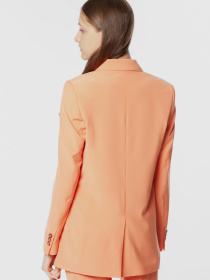 Блейзер Arber модель ANW02.04.37 Фото