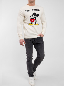 Джемпер MC2 SAINT BARTH модель HER0001.09777E Фото