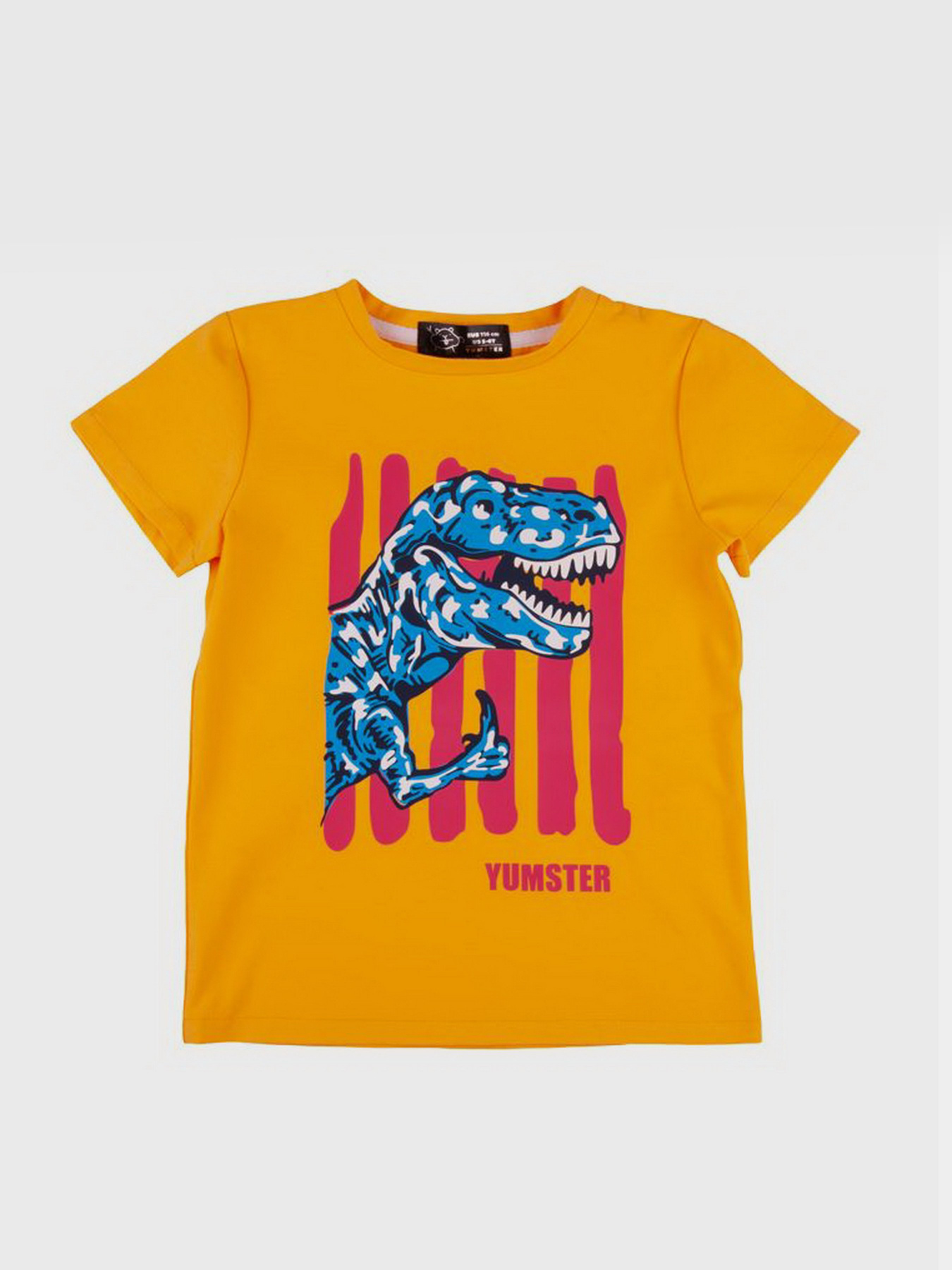 Футболка YUMSTER модель YH.11.03.004 Фото