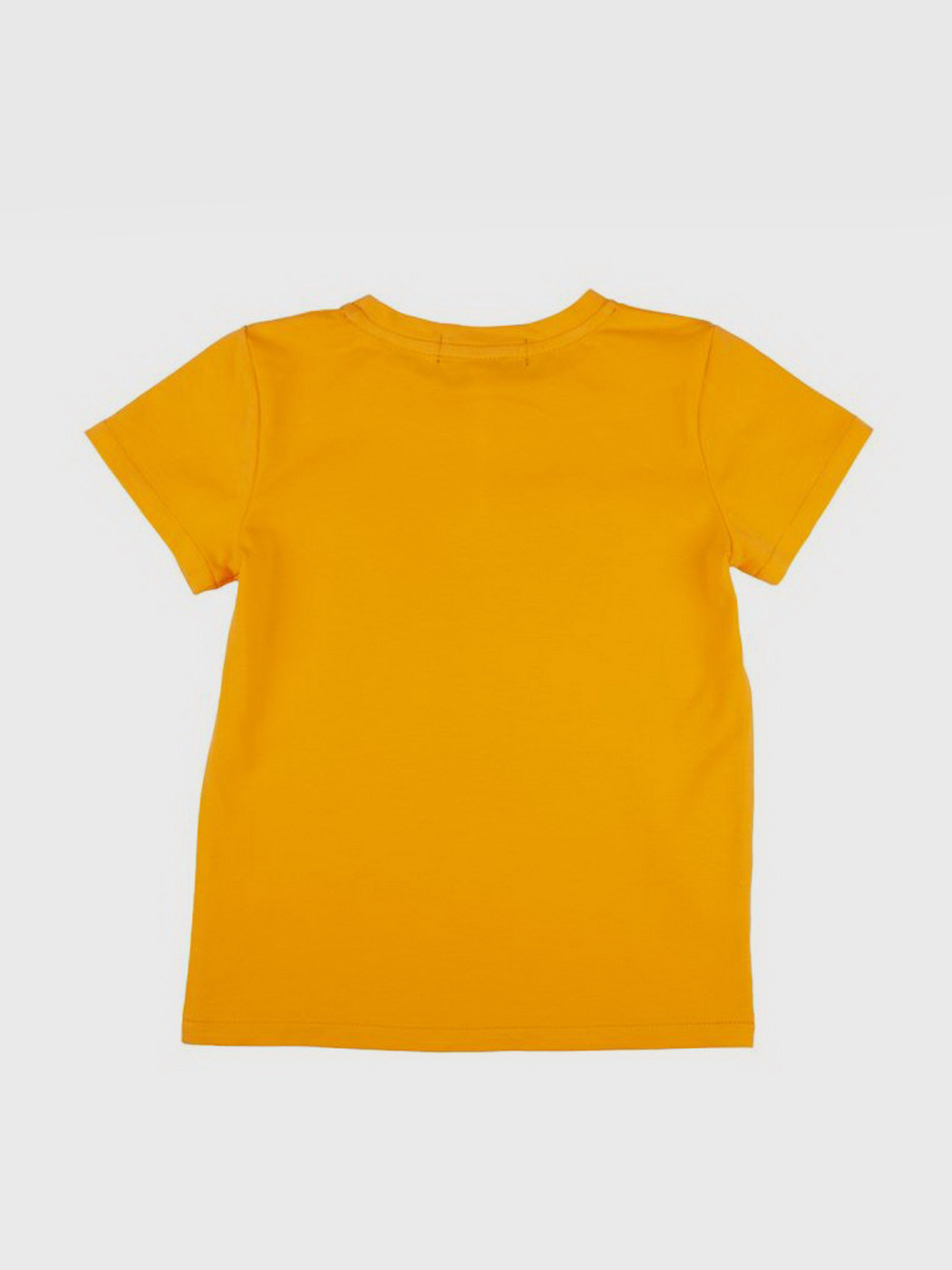 Футболка YUMSTER модель YH.11.03.004 Фото