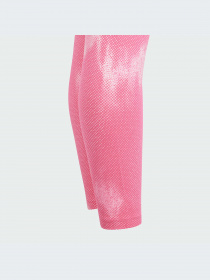 Легінси Adidas модель IT9037 Фото