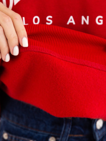 Свитшот Famo модель SW-515_01 Фото