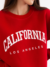 Свитшот Famo модель SW-515_01 Фото