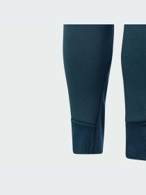 Брюки повседневные Adidas ZNE модель IM8397 Фото