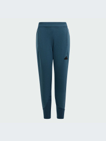 Повсякденні штани Adidas ZNE модель IM8397 Фото