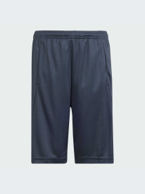 Шорты Adidas Clima модель IP3983-KZ Фото