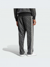 Брюки Adidas Graphics модель IS0220-KZ Фото
