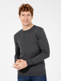 Джемпер US Polo модель G081SZ0TK.000.1428993.VR081 Фото