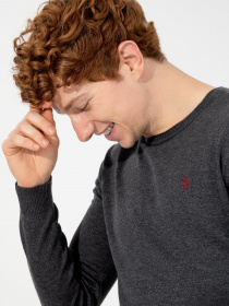 Джемпер US Polo модель G081SZ0TK.000.1428993.VR081 Фото