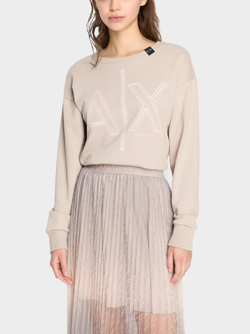 Худи и свитшоты Armani Exchange модель 3DYM11-YJEBZ-1786 Фото