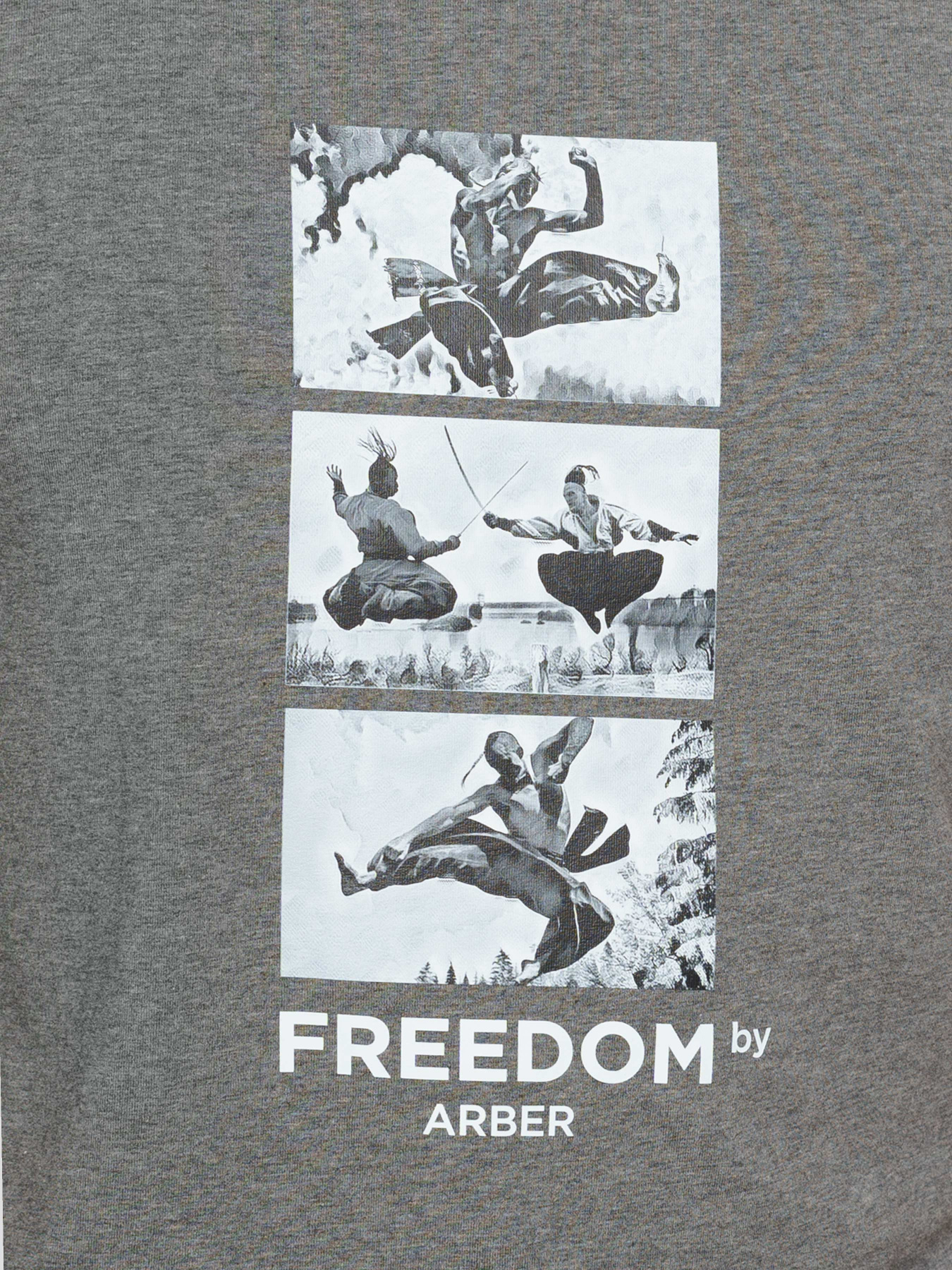 Футболка Arber модель F13.18.14.411 Фото