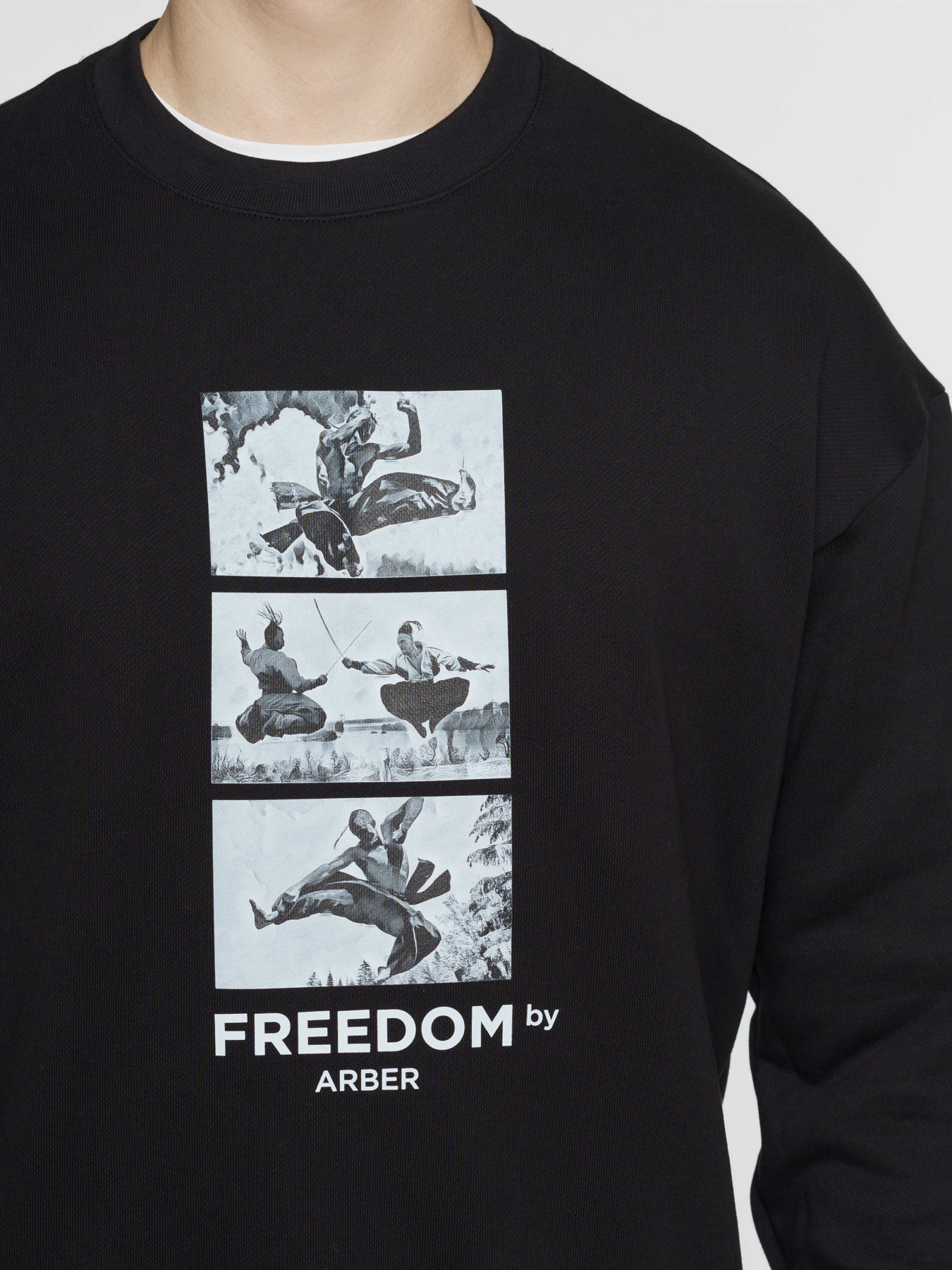 Світшот Arber модель F17.18.02.411 Фото