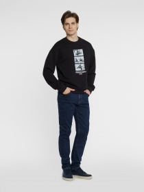 Світшот Arber модель F17.18.02.411 Фото