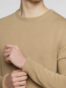 Джемпер Arber модель M10.48.16.341 Фото