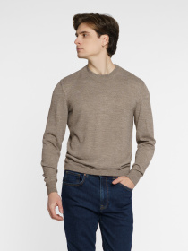 Джемпер Arber модель M10.60.16.332 Фото