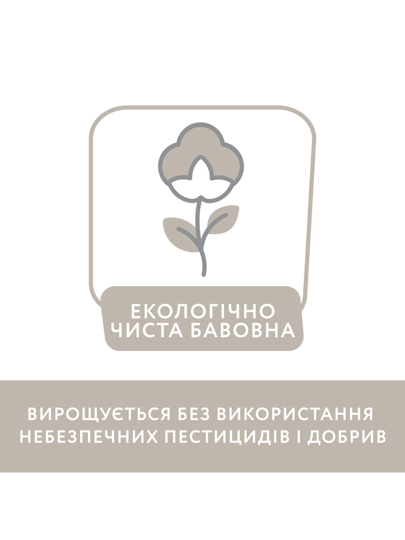 Одежда для младенцев Chicco модель 090.02921.011 Фото