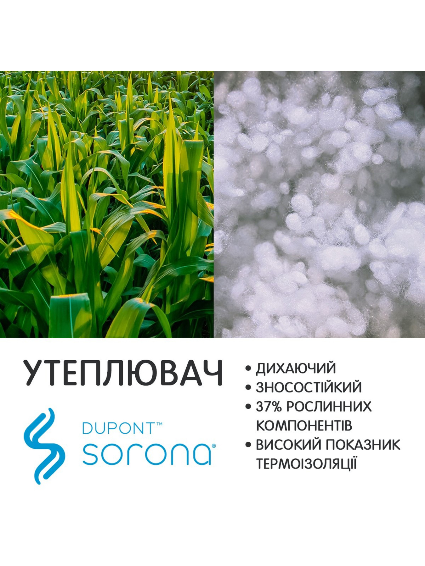 Зимова куртка Chicco модель 090.87755.096 Фото