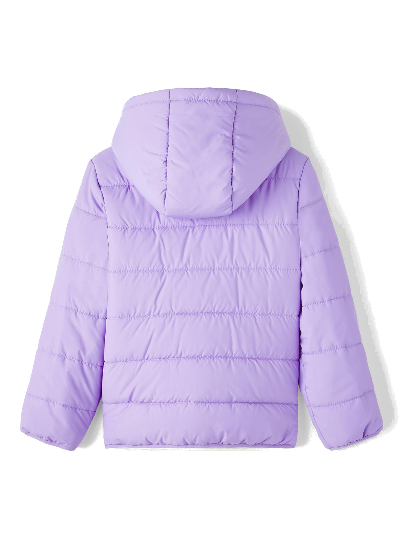 Зимняя куртка Name it модель 233.13216483.SVER Фото