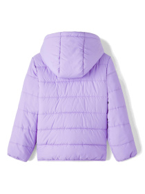 Зимняя куртка Name it модель 233.13216483.SVER Фото