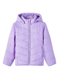 Зимняя куртка Name it модель 233.13216483.SVER Фото