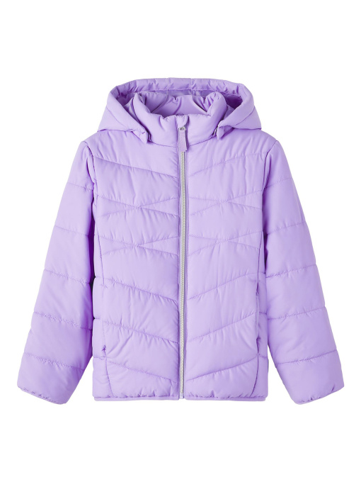 Зимняя куртка Name it модель 233.13216483.SVER Фото