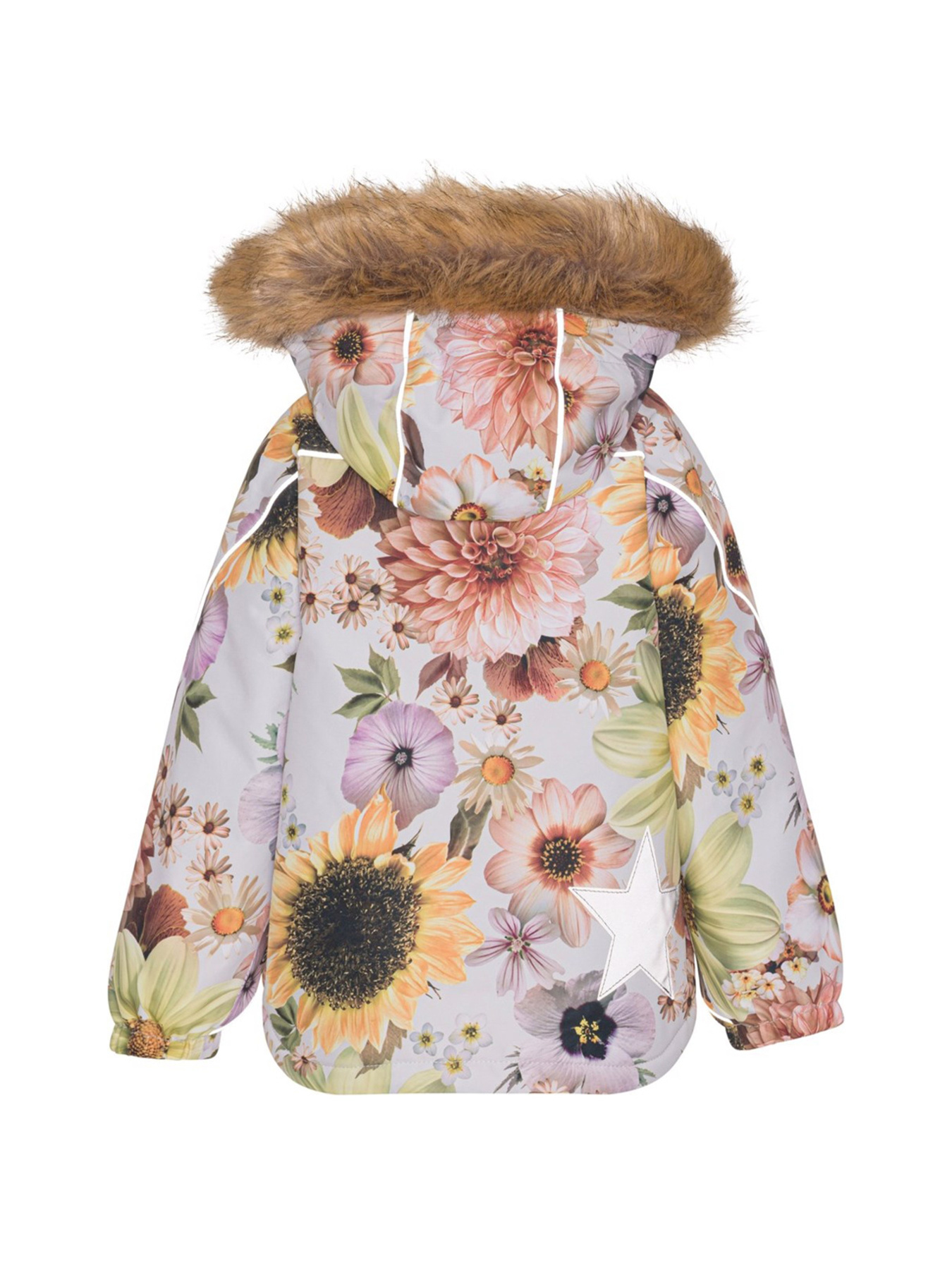 Горнолыжная куртка Molo модель 5W23M324.6855 Фото