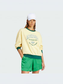Худи и свитшоты Adidas Graphics модель IT9857-KZ Фото