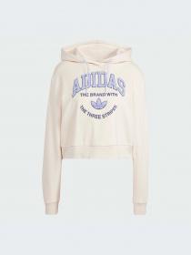 Худи и свитшоты Adidas Graphics модель IR6035-KZ Фото