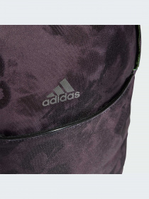 Рюкзаки Adidas модель IS3243-KZ Фото