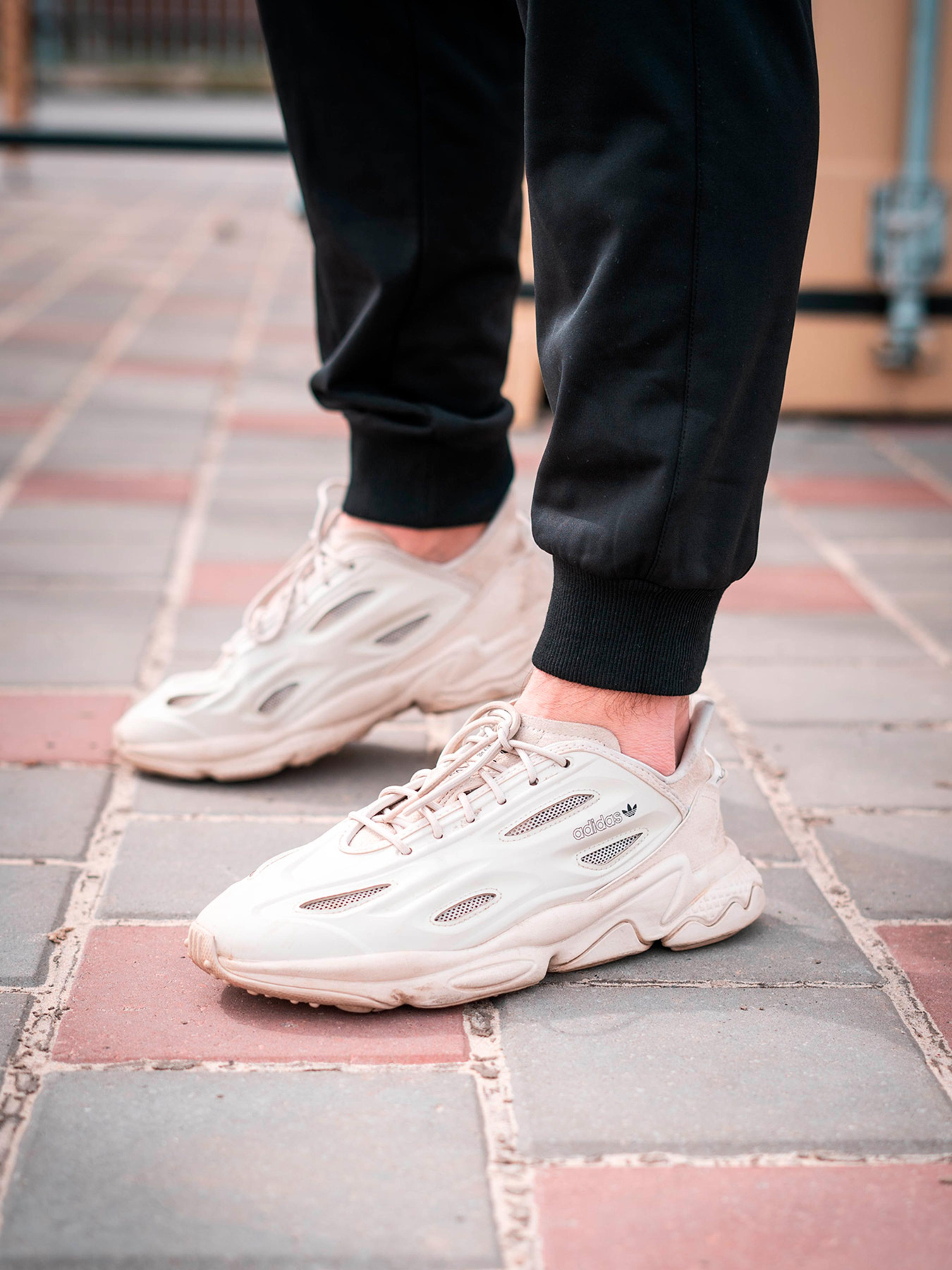 Штаны спортивные Custom Wear модель cw-pant-2790 Фото