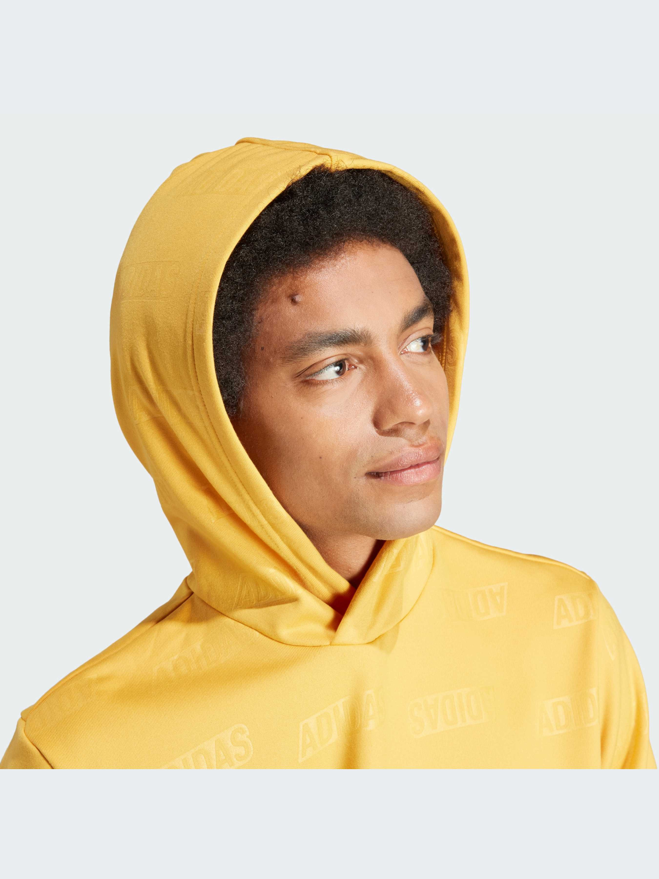 Худи Adidas модель IJ6429 Фото