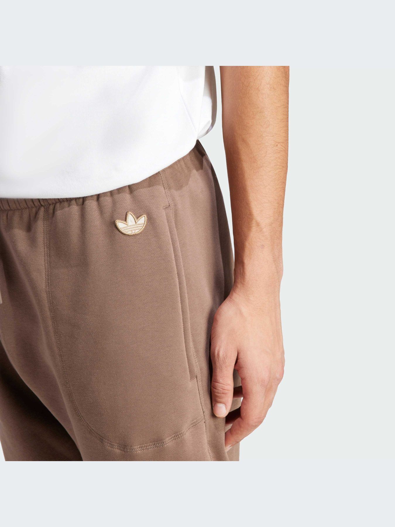 Штани спортивні Adidas Graphics модель IS0198 Фото