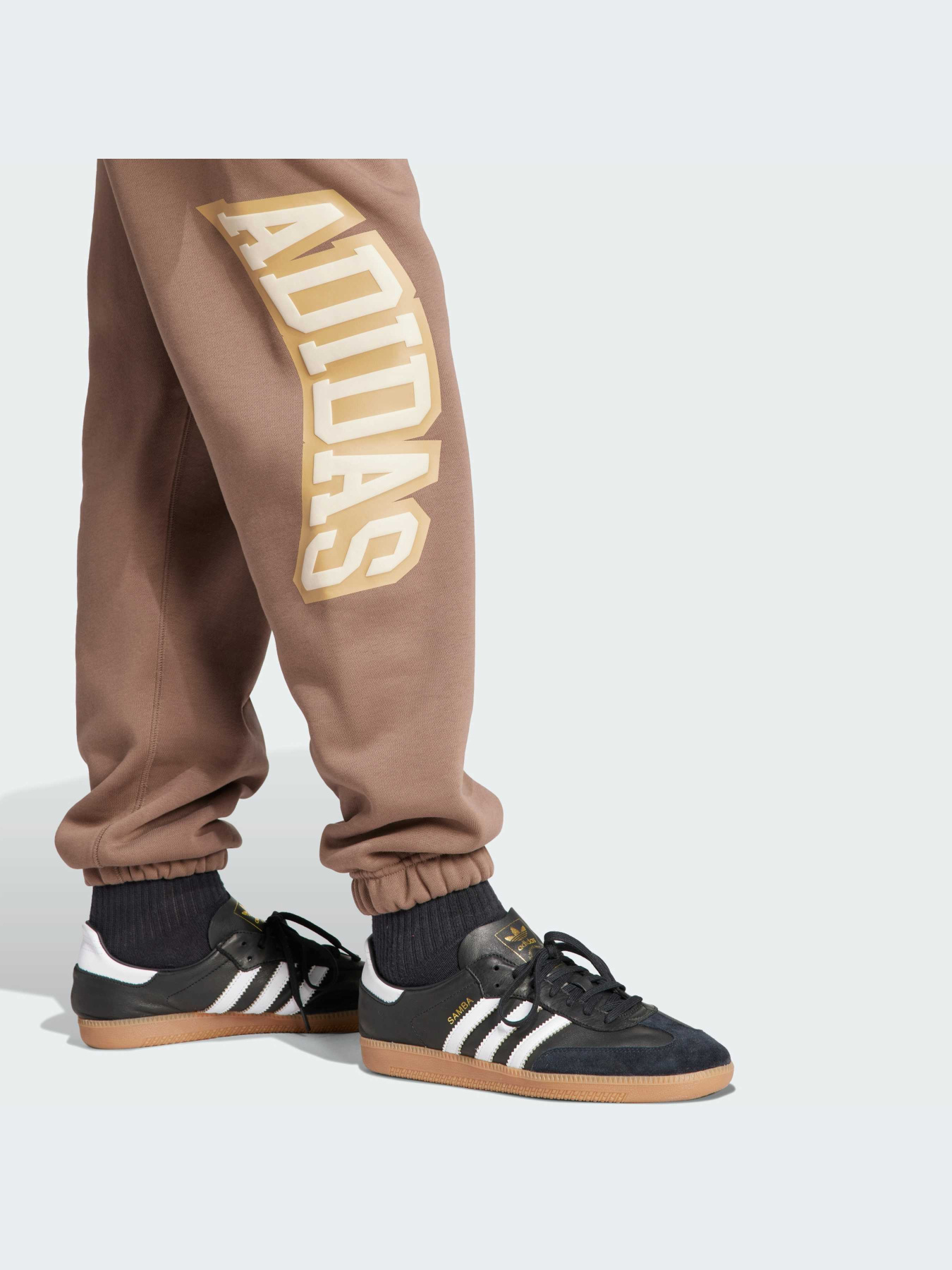 Штани спортивні Adidas Graphics модель IS0198 Фото