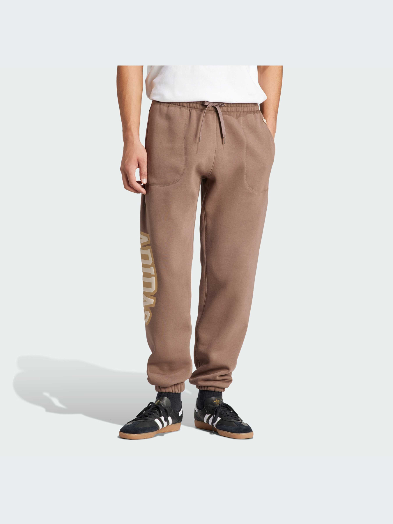 Штани спортивні Adidas Graphics модель IS0198 Фото